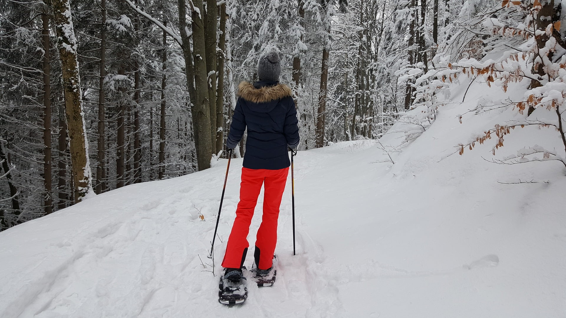 The Ultimate Beginner's Guide to Snowshoeing!