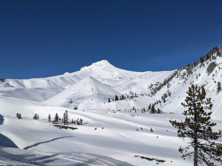 Last Minute Ideas: 7 Awesome Snowshoe Trails On Mt. Hood