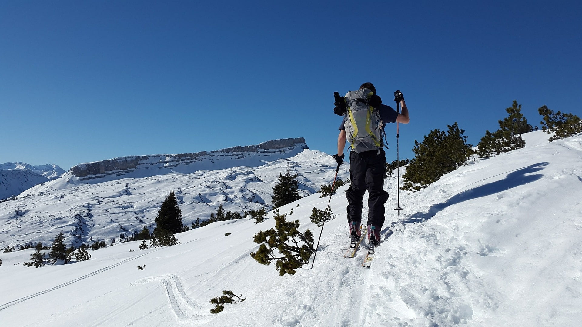 alpine touring