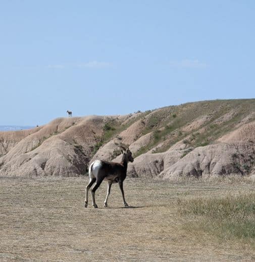 road trip south dakota