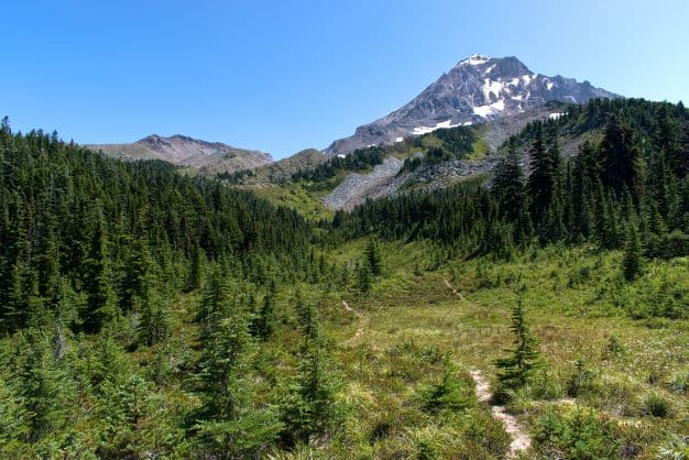 5 Popular Hiking Areas in Oregon