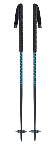 Best Ski Poles 2023