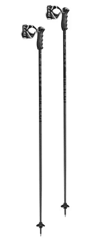 Best Ski Poles 2023