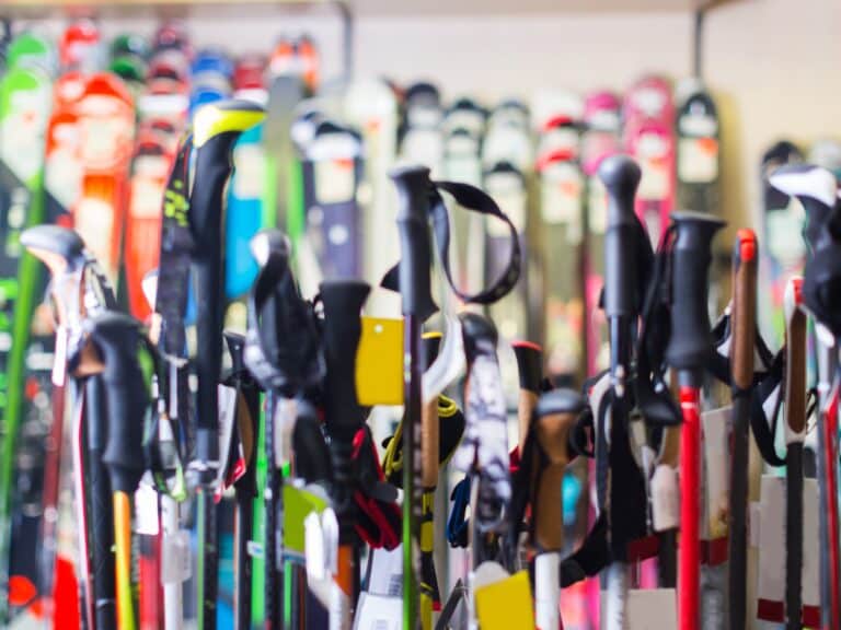 Best Ski Poles For 2024: Carve With Confidence