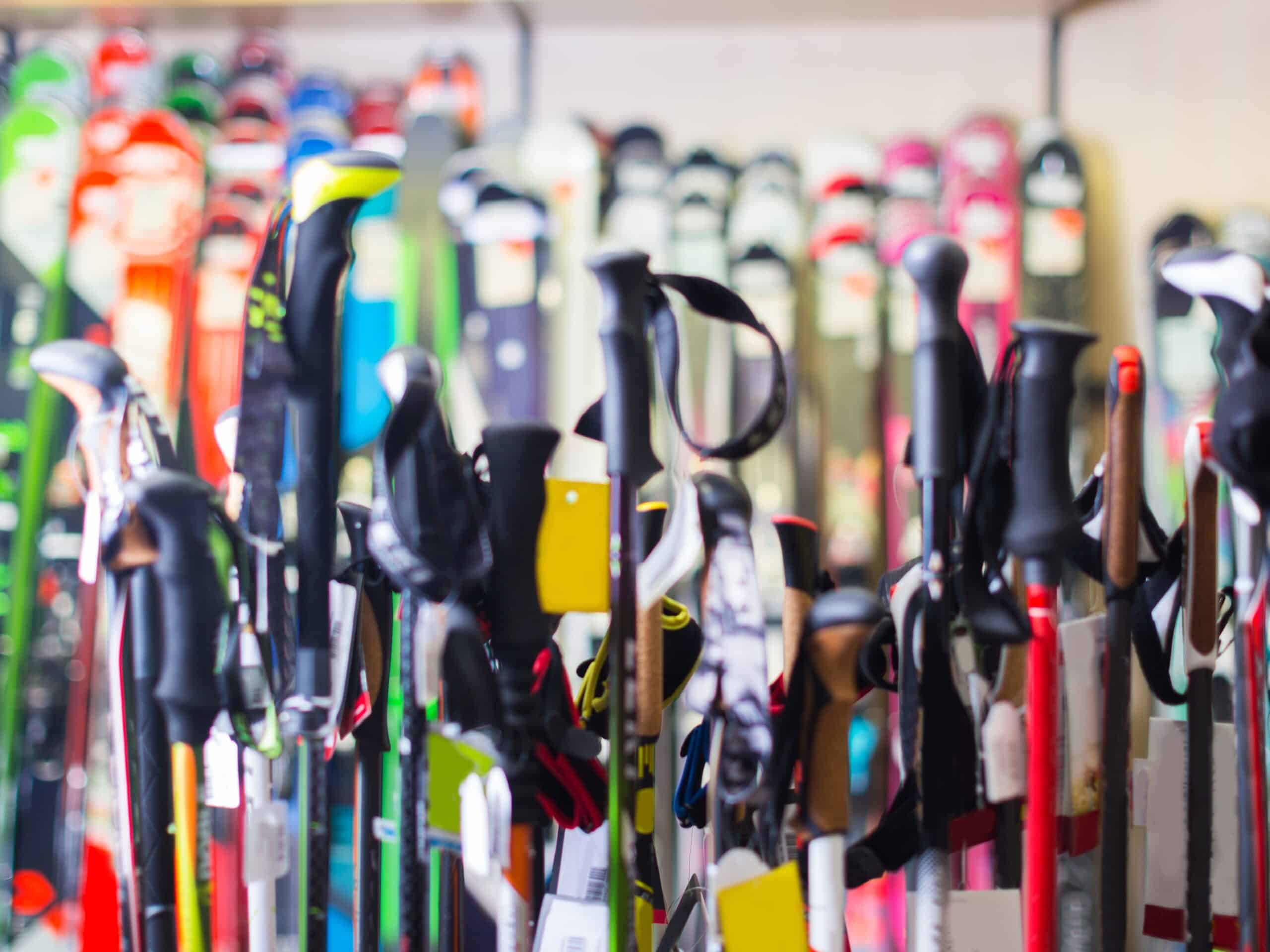 best ski poles