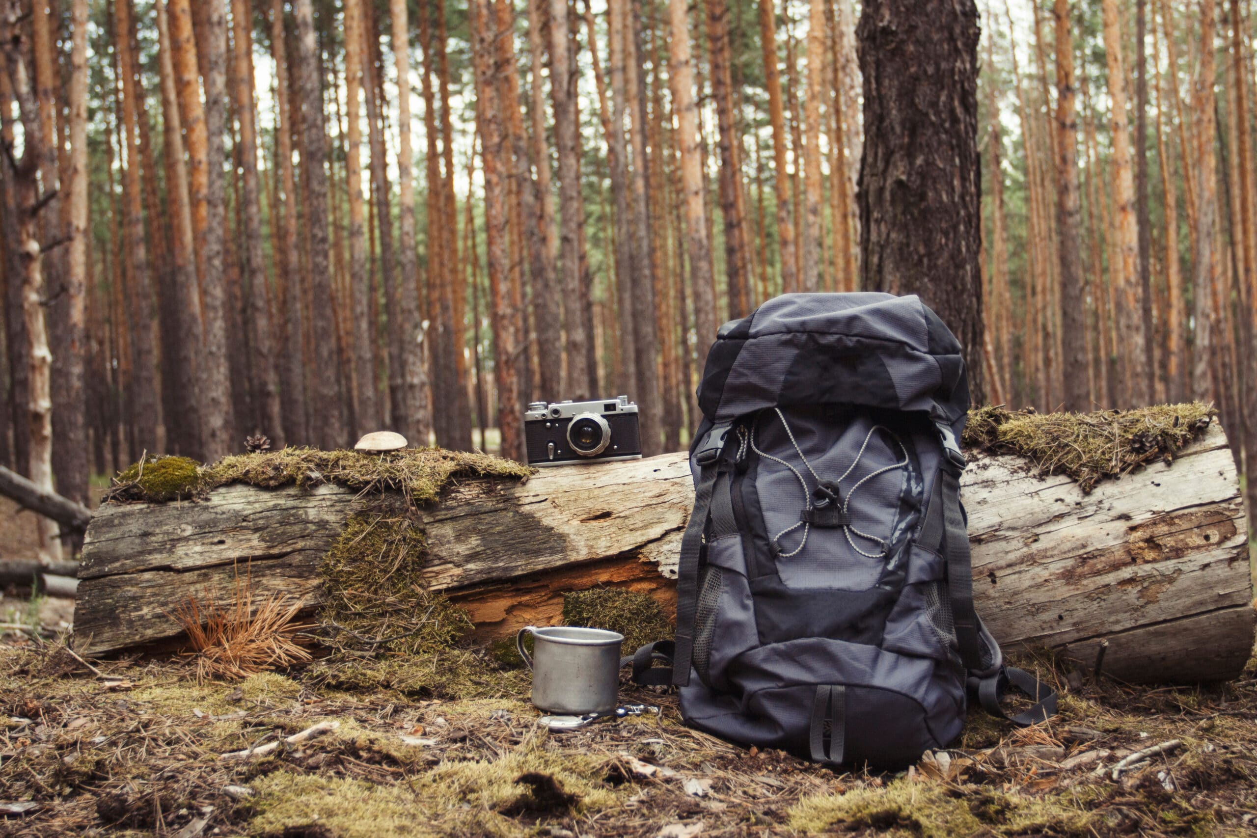 Best Backpacking Backpack