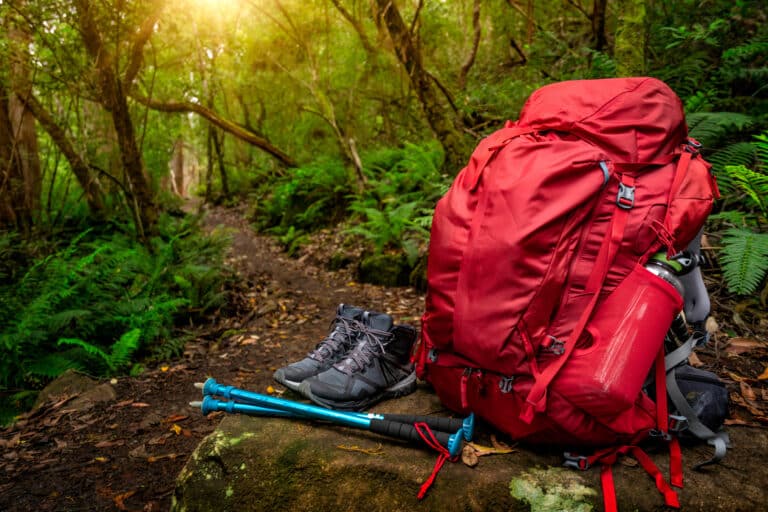 Best Hiking Gear for Comfort and Performance for 2024