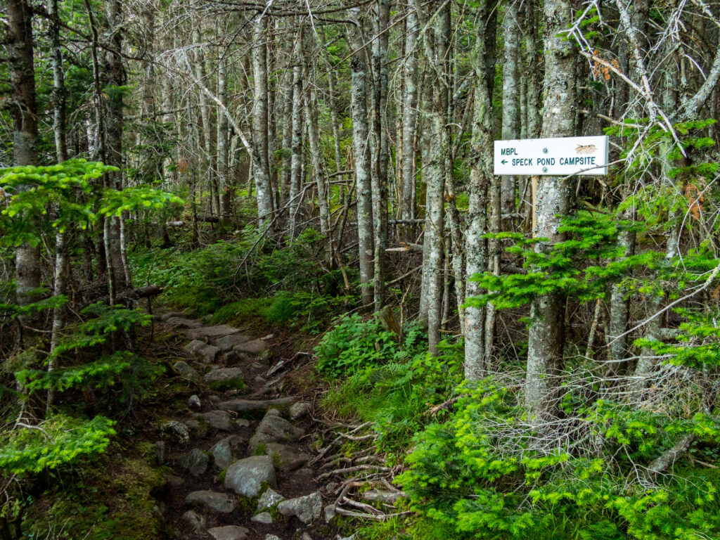 Long-Distance Hiking Trails in the US