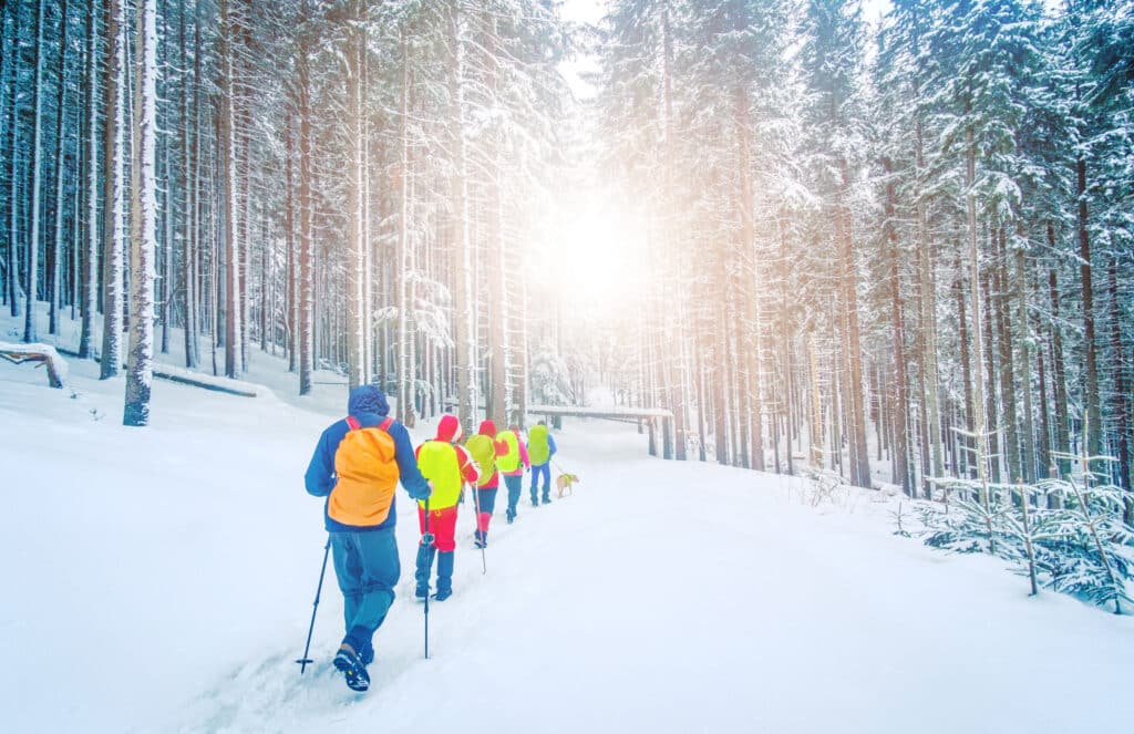 Winter Hiking 101: Essential Tips and Gear