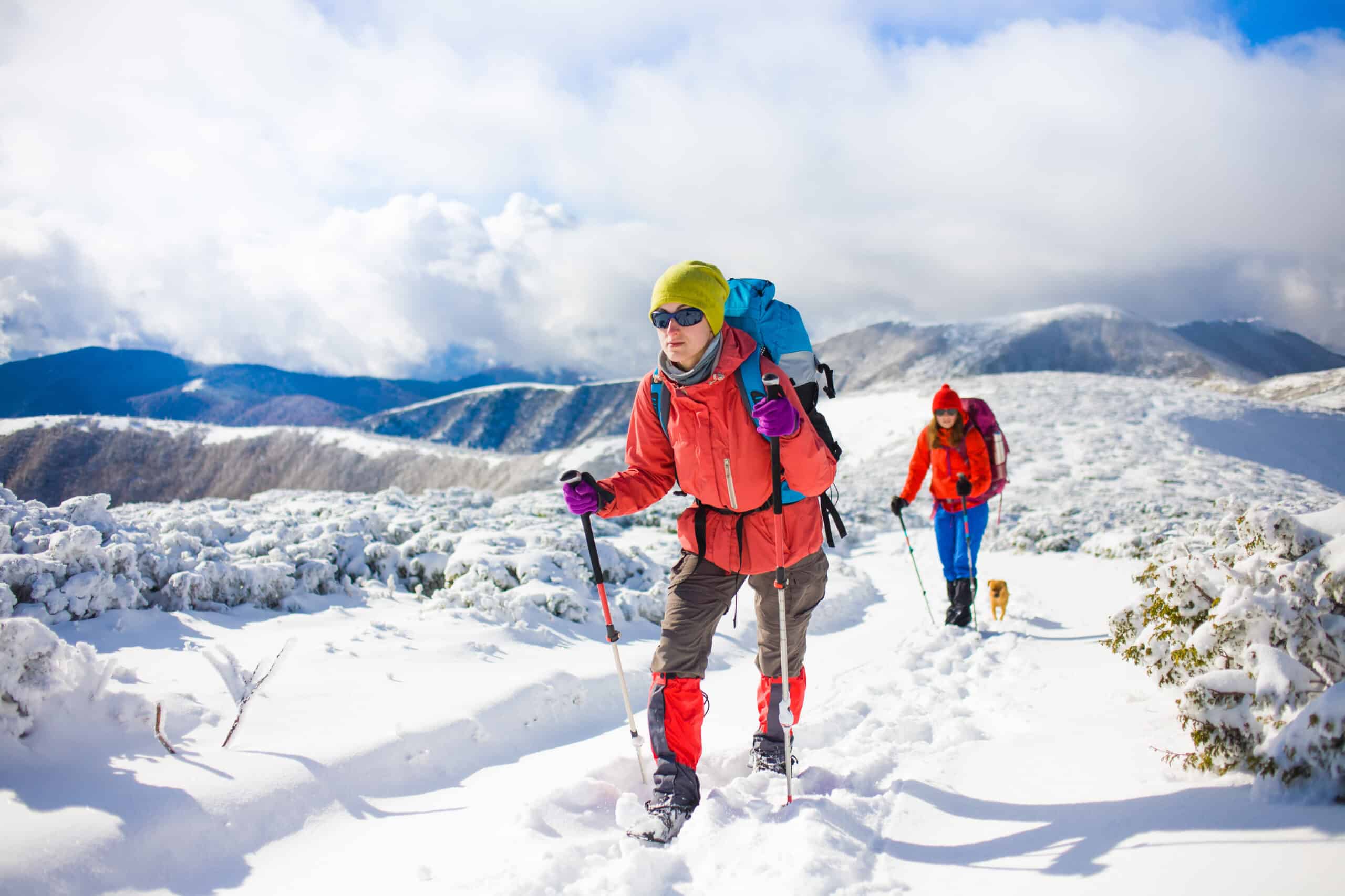 Winter Hiking 101: Essential Tips and Gear