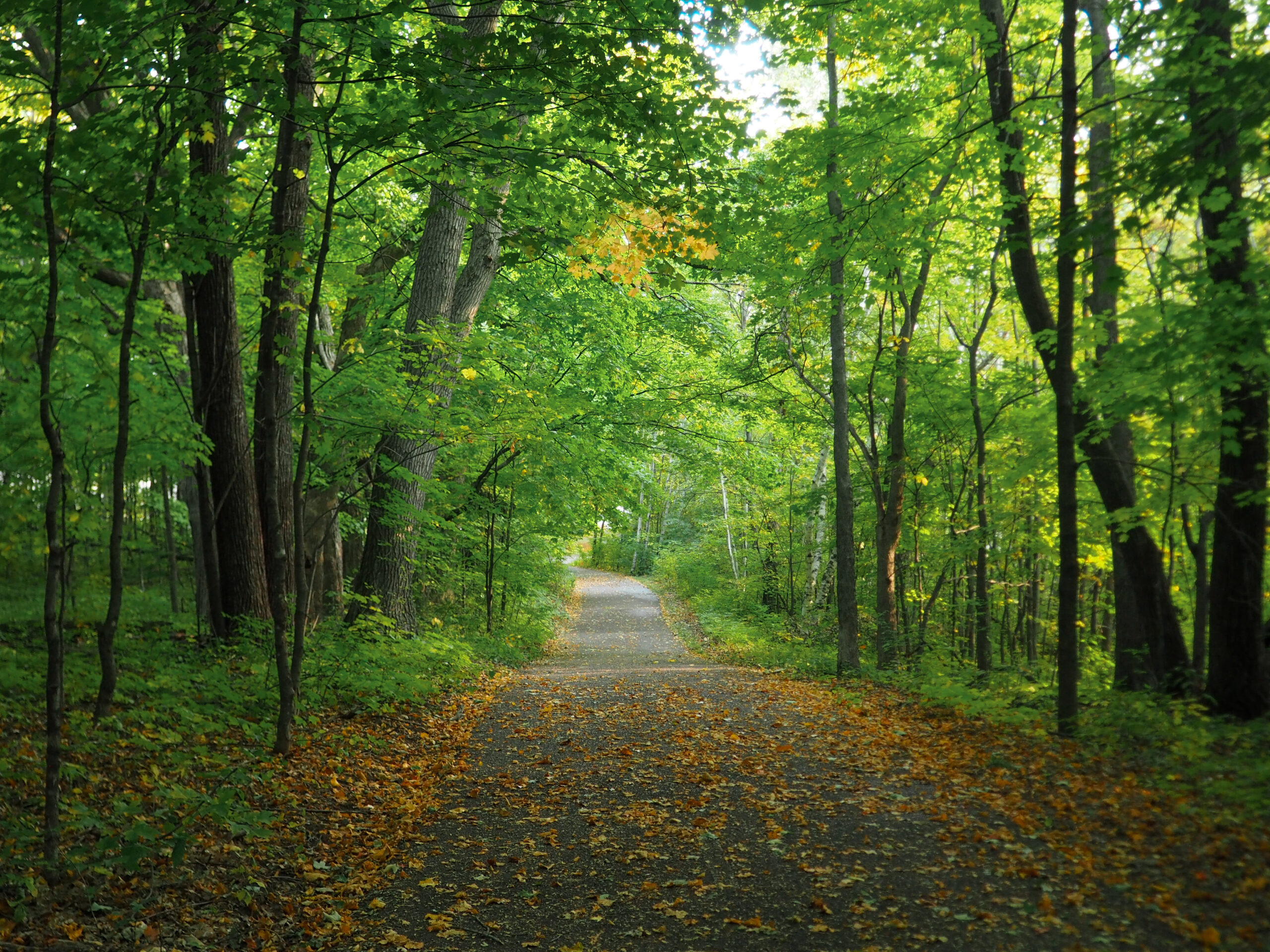 best paved hiking trails
